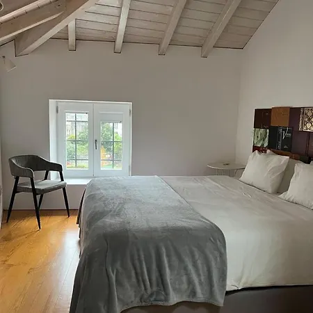 Get Bindings And Books On Duplex * Oporto