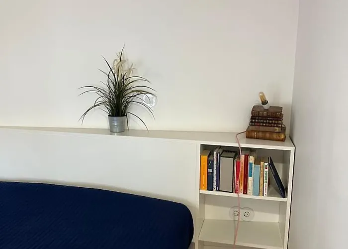 Get Bindings And Books On Duplex 아파트 포르투